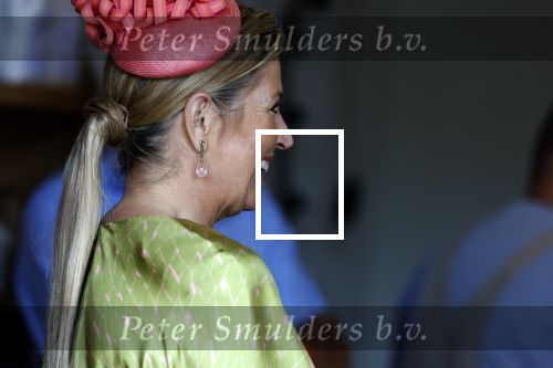 Schevenigen 23 juni 2023
Hare Majesteit Koningin Maxima bezocht het erfgoedpark Loosduinen in Den Haag.
Oa burgemeetser jan v Zanen was daarbij aanwezig.