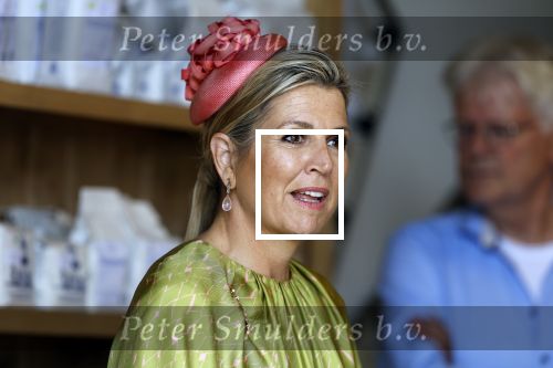 Schevenigen 23 juni 2023
Hare Majesteit Koningin Maxima bezocht het erfgoedpark Loosduinen in Den Haag.
Oa burgemeetser jan v Zanen was daarbij aanwezig.