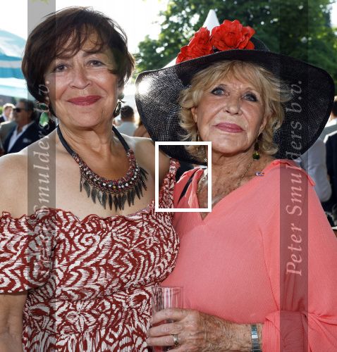 Haarzuilens 21 juni 2023
Nationale Haringparty bij Kasteel de Haar in Haarzuilens .
Liesbeth v Dijk en Astrid Engels