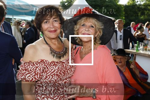 Haarzuilens 21 juni 2023
Nationale Haringparty bij Kasteel de Haar in Haarzuilens .
Liesbeth v Dijk en Astrid Engels
