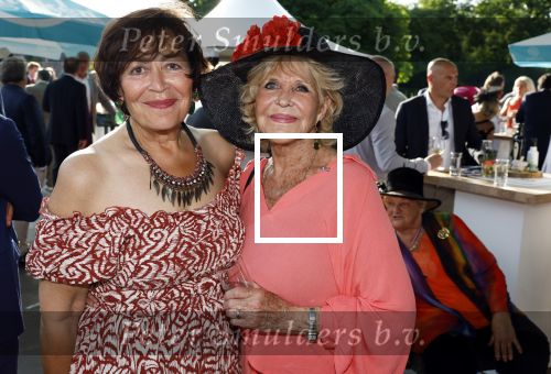 Haarzuilens 21 juni 2023
Nationale Haringparty bij Kasteel de Haar in Haarzuilens .
Liesbeth v Dijk en Astrid Engels