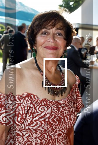 Haarzuilens 21 juni 2023
Nationale Haringparty bij Kasteel de Haar in Haarzuilens .
Liesbeth v Dijk