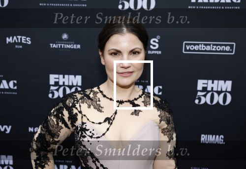 Amsterdam 1 juni 2023
FHM 500 uitreiking bij the supper club.
Linda Hakeboom