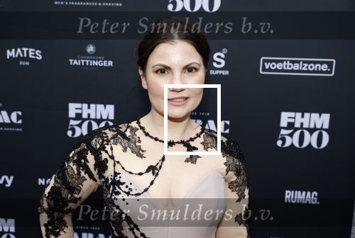 Amsterdam 1 juni 2023
FHM 500 uitreiking bij the supper club.
Linda Hakeboom