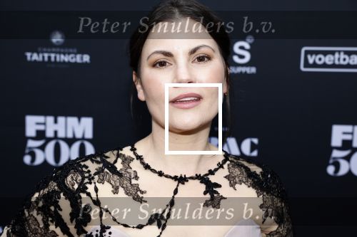 Amsterdam 1 juni 2023
FHM 500 uitreiking bij the supper club.
Linda Hakeboom