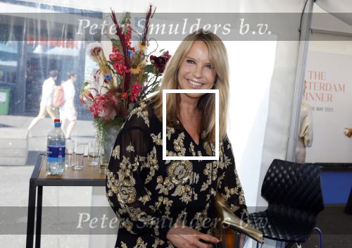 Amsterdam 10 juni 2023
Het 31e Amsterdam diner in AFAS Live tbv het Aidsfonds.
Linda de Mol kwam met Iebele v d Meulen  en werd opgevangen door prinses Mabel .
