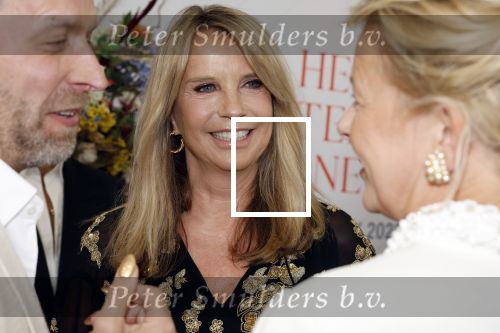 Amsterdam 10 juni 2023
Het 31e Amsterdam diner in AFAS Live tbv het Aidsfonds.
Linda de Mol kwam met Iebele v d Meulen  en werd opgevangen door prinses Mabel .