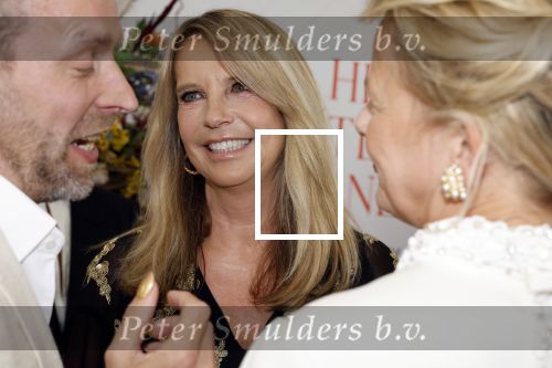 Amsterdam 10 juni 2023
Het 31e Amsterdam diner in AFAS Live tbv het Aidsfonds.
Linda de Mol kwam met Iebele v d Meulen  en werd opgevangen door prinses Mabel .