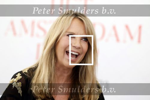 Amsterdam 10 juni 2023
Het 31e Amsterdam diner in AFAS Live tbv het Aidsfonds.
Linda de Mol kwam met Iebele v d Meulen  en werd opgevangen door prinses Mabel .