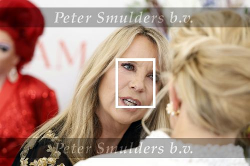 Amsterdam 10 juni 2023
Het 31e Amsterdam diner in AFAS Live tbv het Aidsfonds.
Linda de Mol kwam met Iebele v d Meulen  en werd opgevangen door prinses Mabel .
