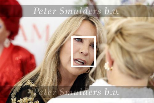 Amsterdam 10 juni 2023
Het 31e Amsterdam diner in AFAS Live tbv het Aidsfonds.
Linda de Mol kwam met Iebele v d Meulen  en werd opgevangen door prinses Mabel .