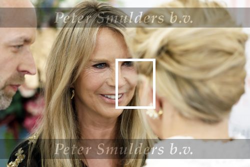 Amsterdam 10 juni 2023
Het 31e Amsterdam diner in AFAS Live tbv het Aidsfonds.
Linda de Mol kwam met Iebele v d Meulen  en werd opgevangen door prinses Mabel .