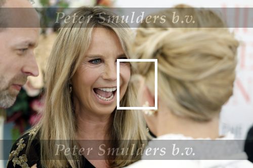Amsterdam 10 juni 2023
Het 31e Amsterdam diner in AFAS Live tbv het Aidsfonds.
Linda de Mol kwam met Iebele v d Meulen  en werd opgevangen door prinses Mabel .