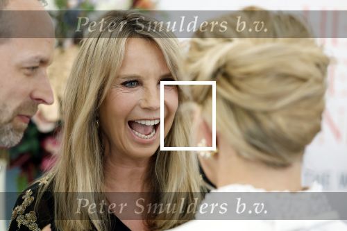 Amsterdam 10 juni 2023
Het 31e Amsterdam diner in AFAS Live tbv het Aidsfonds.
Linda de Mol kwam met Iebele v d Meulen  en werd opgevangen door prinses Mabel .
