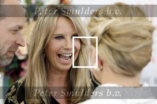 Amsterdam 10 juni 2023
Het 31e Amsterdam diner in AFAS Live tbv het Aidsfonds.
Linda de Mol kwam met Iebele v d Meulen  en werd opgevangen door prinses Mabel .