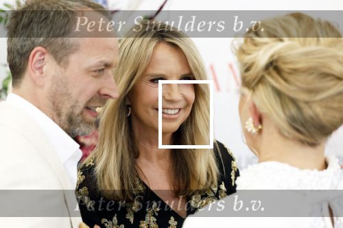 Amsterdam 10 juni 2023
Het 31e Amsterdam diner in AFAS Live tbv het Aidsfonds.
Linda de Mol kwam met Iebele v d Meulen  en werd opgevangen door prinses Mabel .