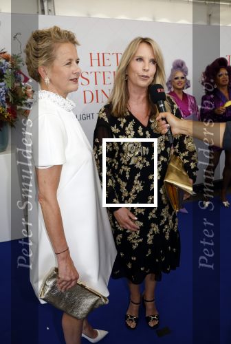 Amsterdam 10 juni 2023
Het 31e Amsterdam diner in AFAS Live tbv het Aidsfonds.
Linda de Mol kwam met Iebele v d Meulen  en werd opgevangen door prinses Mabel .