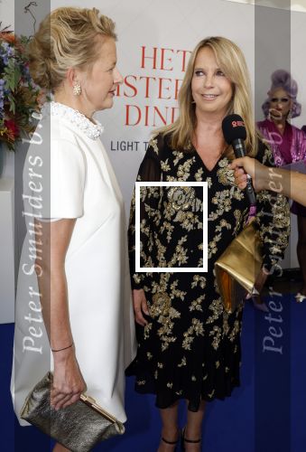 Amsterdam 10 juni 2023
Het 31e Amsterdam diner in AFAS Live tbv het Aidsfonds.
Linda de Mol kwam met Iebele v d Meulen  en werd opgevangen door prinses Mabel .