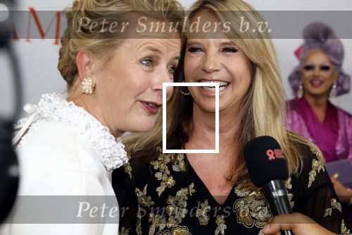 Amsterdam 10 juni 2023
Het 31e Amsterdam diner in AFAS Live tbv het Aidsfonds.
Linda de Mol kwam met Iebele v d Meulen  en werd opgevangen door prinses Mabel .
