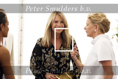 Amsterdam 10 juni 2023
Het 31e Amsterdam diner in AFAS Live tbv het Aidsfonds.
Linda de Mol kwam met Iebele v d Meulen  en werd opgevangen door prinses Mabel .