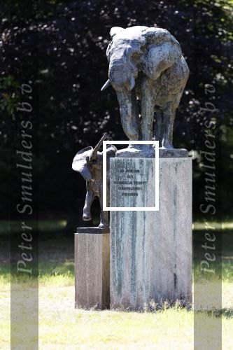 Soestdijk 15 juni 2023
Opnames van de grote sinterklaasfilm op paleis Soestdijk . Op kantoor staan nog foto\'s de kluis en div Boeken . Beeld van 2 olifanten