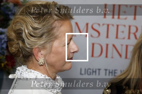 Amsterdam 10 juni 2023
Het 31e Amsterdam diner in AFAS Live tbv het Aidsfonds.
Linda de Mol kwam met Iebele v d Meulen  en werd opgevangen door prinses Mabel .
