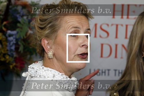 Amsterdam 10 juni 2023
Het 31e Amsterdam diner in AFAS Live tbv het Aidsfonds.
Linda de Mol kwam met Iebele v d Meulen  en werd opgevangen door prinses Mabel .