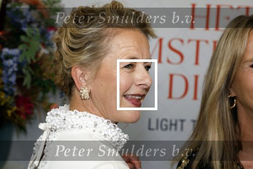 Amsterdam 10 juni 2023
Het 31e Amsterdam diner in AFAS Live tbv het Aidsfonds.
Linda de Mol kwam met Iebele v d Meulen  en werd opgevangen door prinses Mabel .