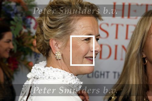 Amsterdam 10 juni 2023
Het 31e Amsterdam diner in AFAS Live tbv het Aidsfonds.
Linda de Mol kwam met Iebele v d Meulen  en werd opgevangen door prinses Mabel .
