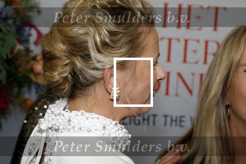 Amsterdam 10 juni 2023
Het 31e Amsterdam diner in AFAS Live tbv het Aidsfonds.
Linda de Mol kwam met Iebele v d Meulen  en werd opgevangen door prinses Mabel .