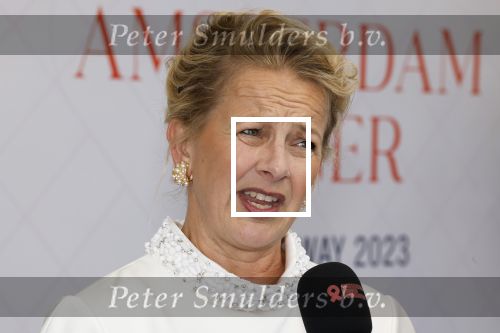 Amsterdam 10 juni 2023
Het 31e Amsterdam diner in AFAS Live tbv het Aidsfonds.
Prinses Mabel