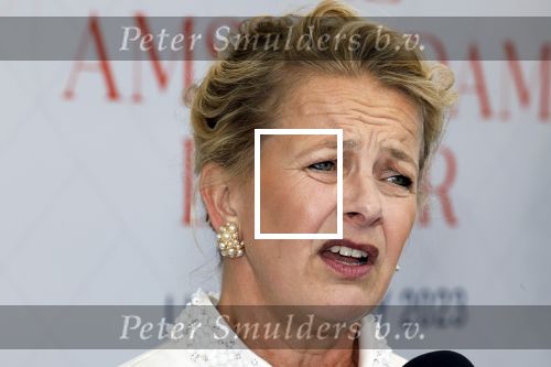 Amsterdam 10 juni 2023
Het 31e Amsterdam diner in AFAS Live tbv het Aidsfonds.
Prinses Mabel