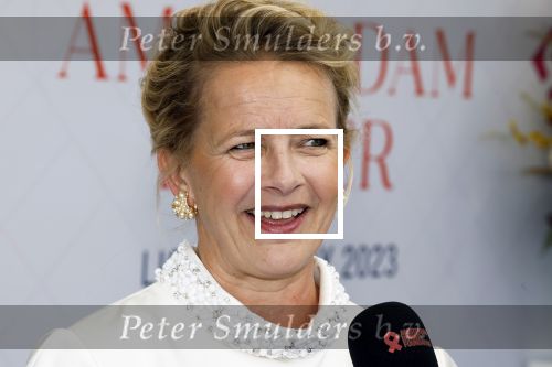 Amsterdam 10 juni 2023
Het 31e Amsterdam diner in AFAS Live tbv het Aidsfonds.
Prinses Mabel