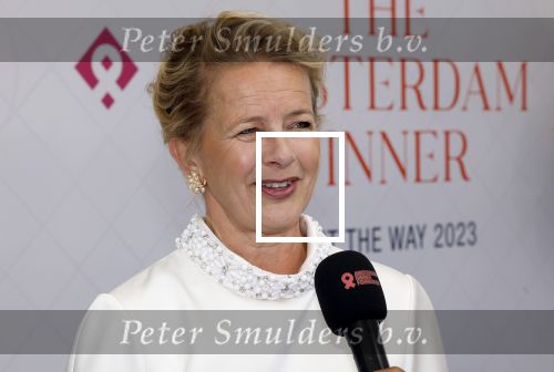 Amsterdam 10 juni 2023
Het 31e Amsterdam diner in AFAS Live tbv het Aidsfonds.
Prinses Mabel