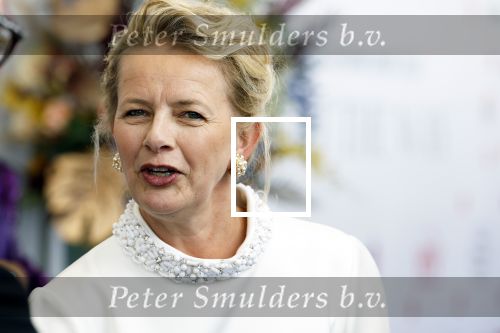 Amsterdam 10 juni 2023
Het 31e Amsterdam diner in AFAS Live tbv het Aidsfonds.
Prinses Mabel