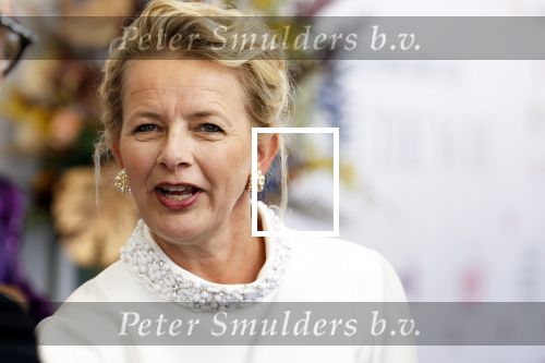 Amsterdam 10 juni 2023
Het 31e Amsterdam diner in AFAS Live tbv het Aidsfonds.
Prinses Mabel