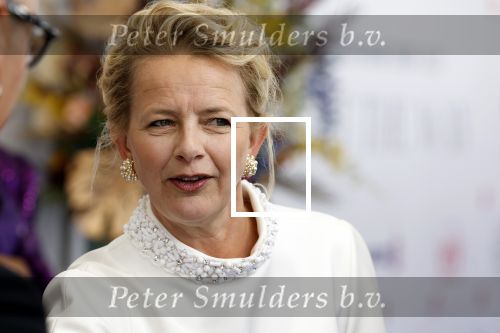 Amsterdam 10 juni 2023
Het 31e Amsterdam diner in AFAS Live tbv het Aidsfonds.
Prinses Mabel