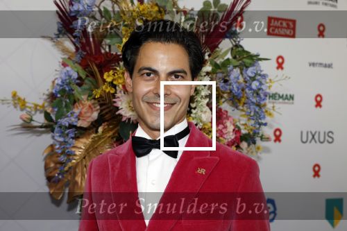 Amsterdam 10 juni 2023
Het 31e Amsterdam diner in AFAS Live tbv het Aidsfonds.
Rob Jetten kwam met een kennis