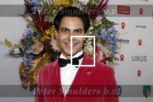 Amsterdam 10 juni 2023
Het 31e Amsterdam diner in AFAS Live tbv het Aidsfonds.
Rob Jetten kwam met een kennis
