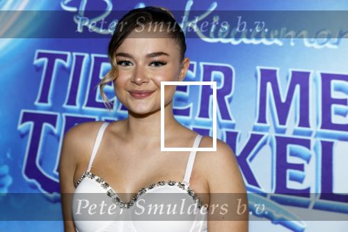 Amsterdam 24 juni 2023
Premiere TIENER MET TENTAKELS in Pathe Arena .
Stefania