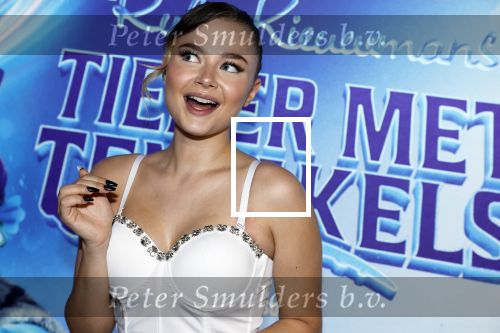 Amsterdam 24 juni 2023
Premiere TIENER MET TENTAKELS in Pathe Arena .
Stefania