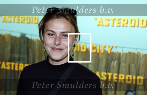 Amsterdam 7 juni 2023
Premiere Asteroid City in the Movies in Amsterdam.
Susan radder met partner