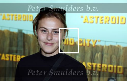 Amsterdam 7 juni 2023
Premiere Asteroid City in the Movies in Amsterdam.
Victor Mids