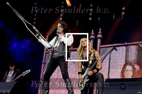 Weert, 12 Juli  13 juli  14 juli 2024
Bospop concerten
Alice Cooper

Exclusieve foto: Carlo van Hout