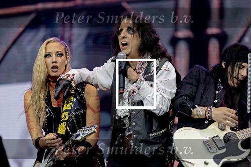 Weert, 12 Juli  13 juli  14 juli 2024
Bospop concerten
Alice Cooper

Exclusieve foto: Carlo van Hout