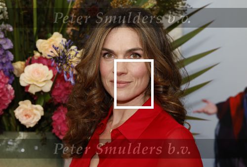 Amsterdam 28 juni 2024
Premiere Nationaal Ballet in de stopera. Anna Drijver