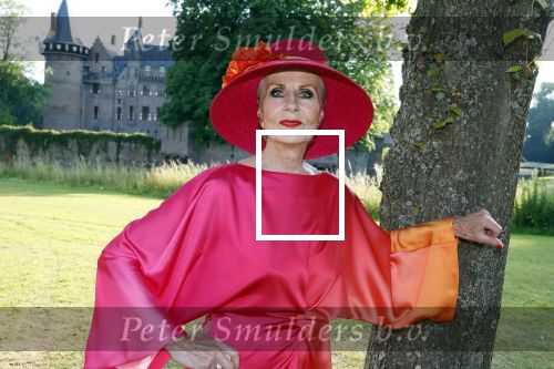 Haarzuilens 26 juni 2024
Nationale haringparty op kasteel de Haar. Ans Markus
