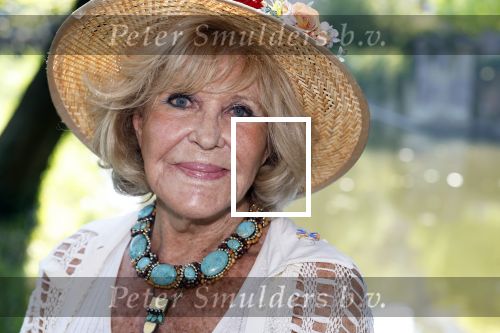 Haarzuilens 26 juni 2024
Nationale haringparty op kasteel de Haar. Astrid Engels met ..