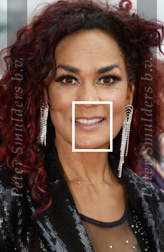 Amsterdam 8 juni 2024
Het Amsterdam diner in AFAS live . Vele Bekende mensen en zakenmensen kwamen naar het gala waar geld opgehaald wordt voor het aids fonds. Chimene v Oosterhout