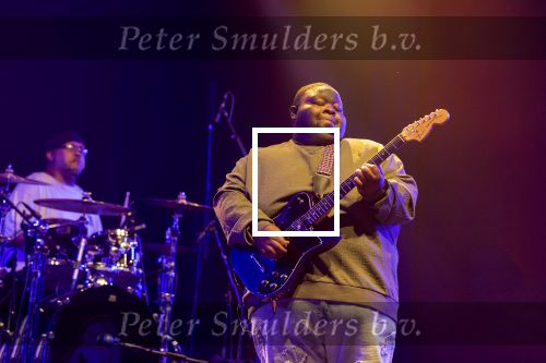 Weert, 12 Juli  13 juli  14 juli 2024
Bospop concerten
Christone Kingfish Ingram

Exclusieve foto: Carlo van Hout